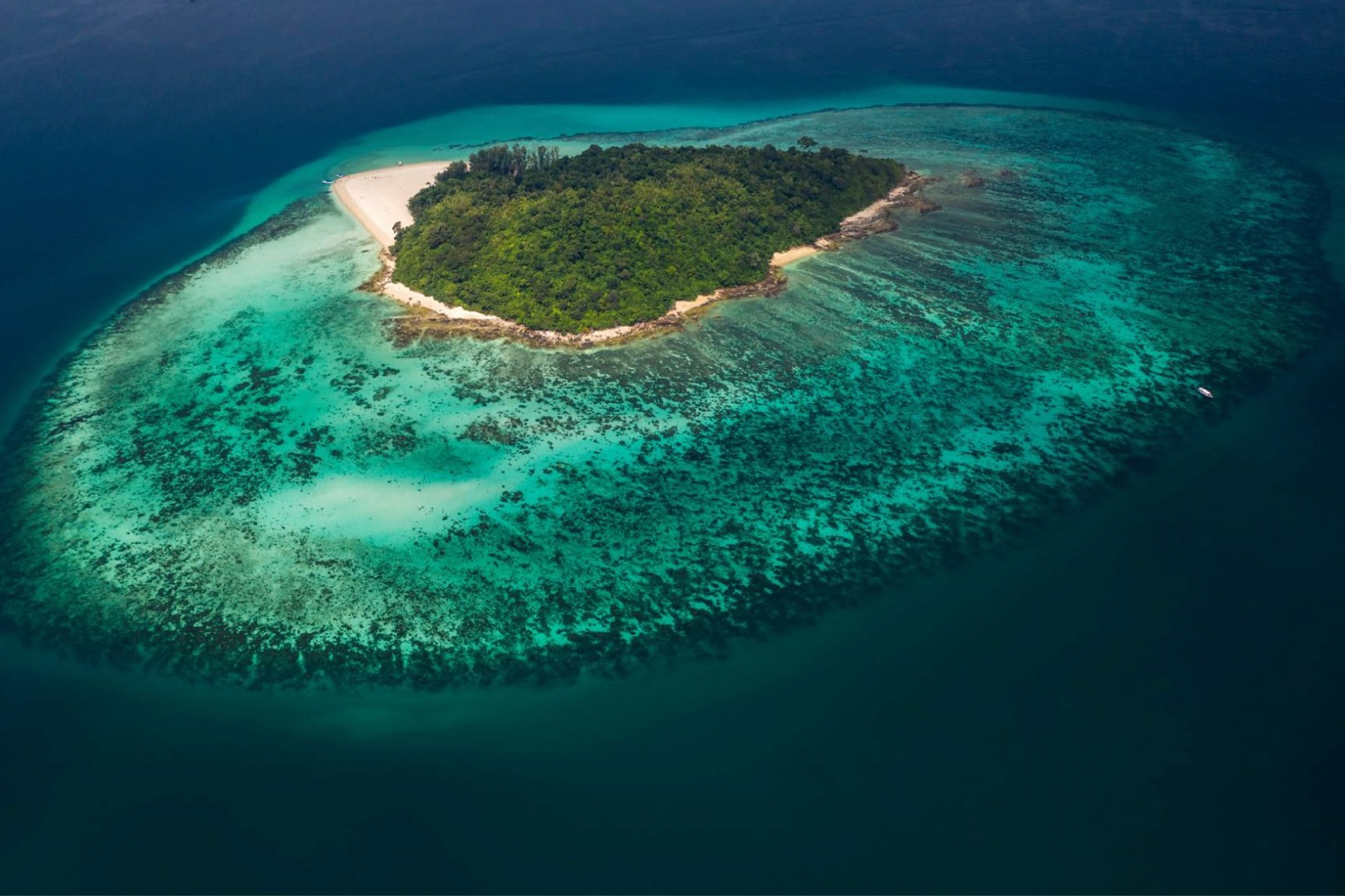 เที่ยววันเดียว เกาะพีพี-อ่าวปิเละ-เกาะไผ่  โดยเรือเร็ว