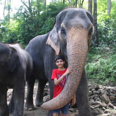 Elephant Care